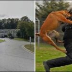 Screenshot_30-5-2025_223439_www.youtubethumbnaildownloader.com