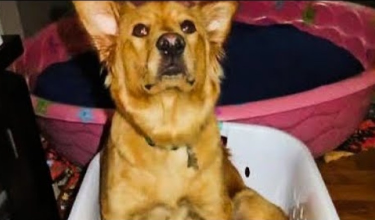 Screenshot_31-5-2025_31644_www.youtubethumbnaildownloader.com